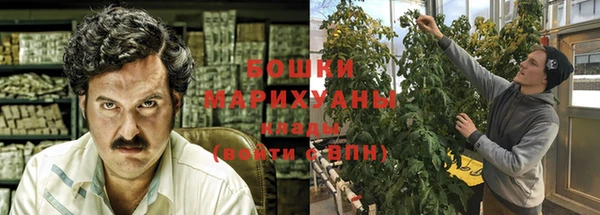 МДПВ Богородицк