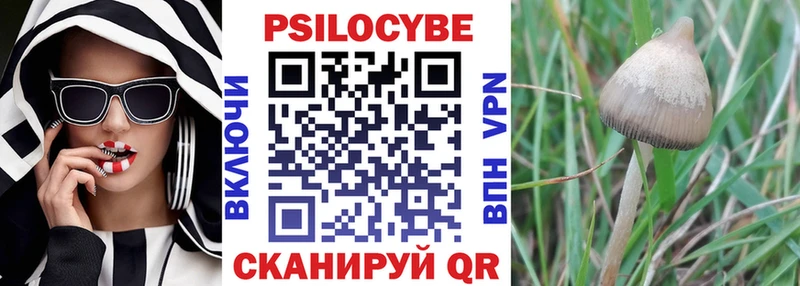 блэк спрут ссылки  Инта  Псилоцибиновые грибы ЛСД 